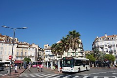Cannes  -  Réseau PALM BUS