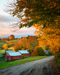 Vermont Fall Foliage 2020