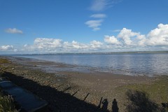Solway Coast, Bird life and surrouding area