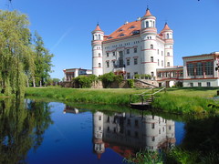 Palace in Wojanów, Poland. Part 2.