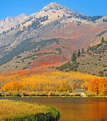 Sierra Nevada Autumn (3)