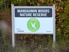 Mandaumin Woods Nature Reserve
