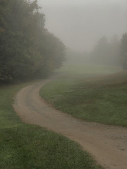 Mist and Fog