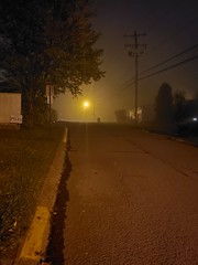 Fog & Rain
