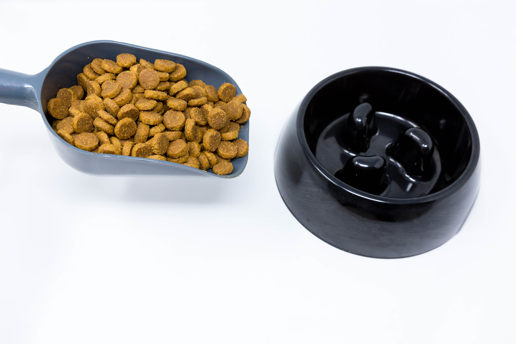 Dog food in a scoop and black dog bowl. Close up on white background