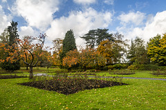 Autumn in Aberdare Park 20.10.20