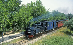 Iberian steam