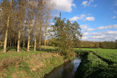 linter - small gete river walk