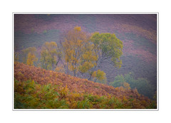 Dartmoor autumn 2020