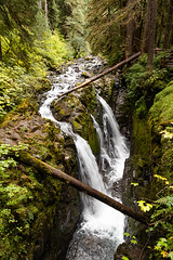 Olympic National Park: Sol Duc Falls 