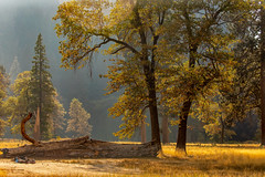 Yosemite National Park, October 2020