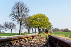 'Prignitzer Kleinbahn' ("Pollo") - Mesendorf-Lindenberg