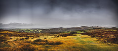 Dartmoor