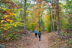 An autumn hike via the Skyline Trail to Wolcott Hill & the Great Blue Hill