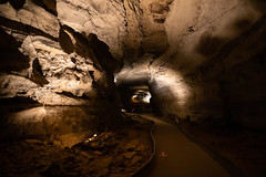 Mammoth Cave National Park (October 2020)