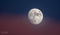 Moon and Night Sky