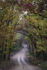 Gravel Roads - Autumn