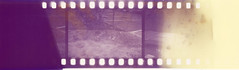 Diazo Microfilm