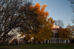 UVA Campus Autumn Color