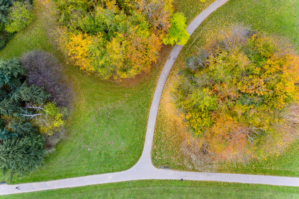 Aerial picture of people taking a walk in the park, next to trees in bright autumn colours and colourful leaves
