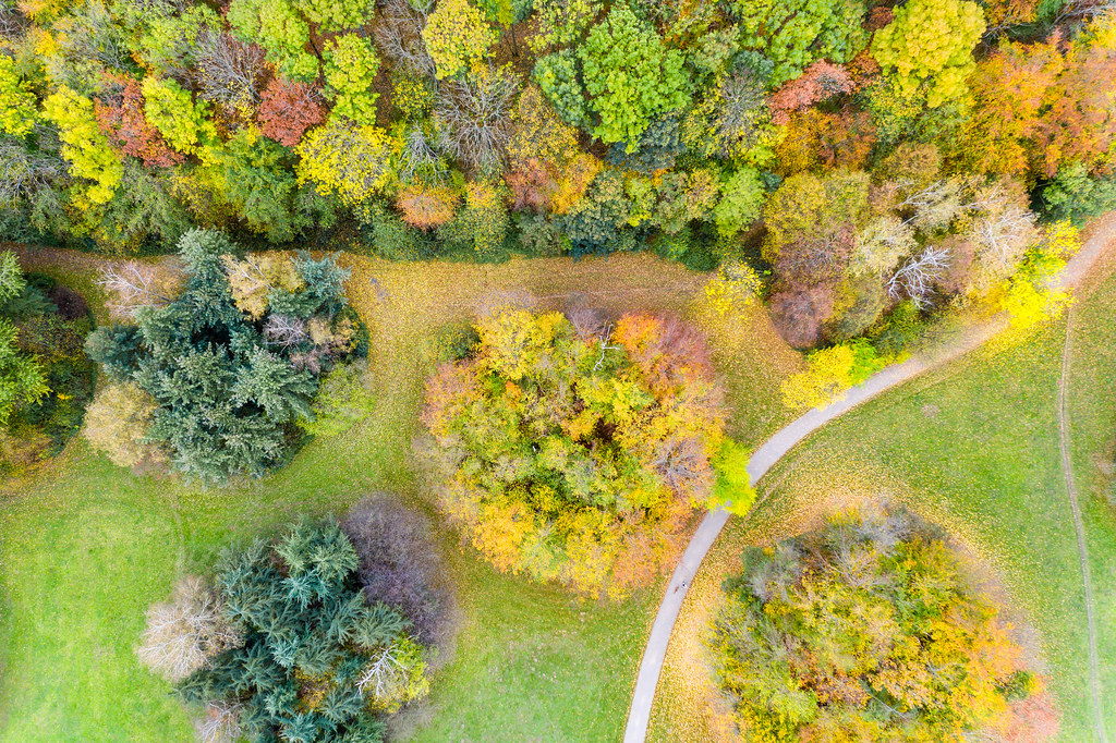 Urban development at Colognes green belt: aerial view shows a colorful forest and park in autumn