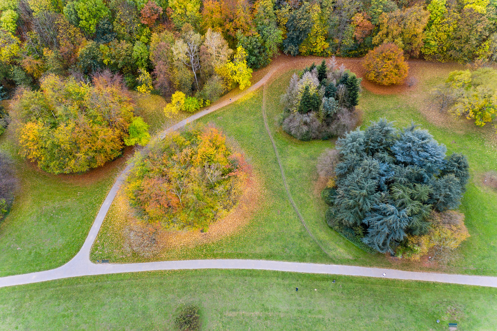 Aerial shot of colourful orange and red foliage of the autumn trees on a meadow in the park botanical garden cologne, Germany