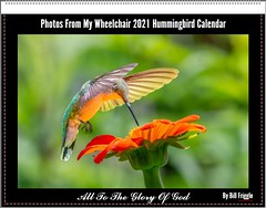 2021 Hummingbird Calendar