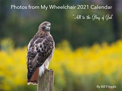 2021 Calendar Images