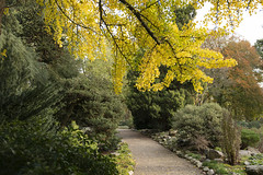 Arboretum De Dreijen