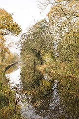 Montgomery Canal from Canal Central,