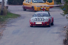 Rallye Antibes Historique 2010 - Toudon (06)