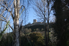 Castelo de Leiria, Igreja de Santa Maria da Pena e Colegiada (Ruínas)