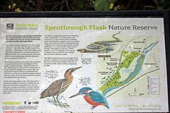 sprotbrough flash nature reserve 07/11/2020