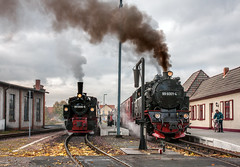 Harz - 'Selketalbahn'