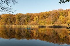 Herbst in  Zehlendorf