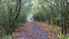 An autumn  walk to Swithland Reservoir