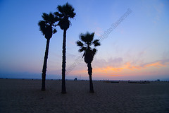 Sunset Santa Monica Beach 10092020