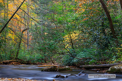 Autumn Smith Creek