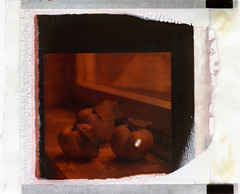 Instant Pack Film Made from Integral Film