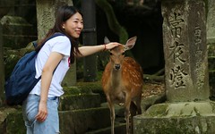 Japan - wildlife