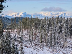 2020 November 11 - Exploring winter trails from the West Bragg Creek Trailhead