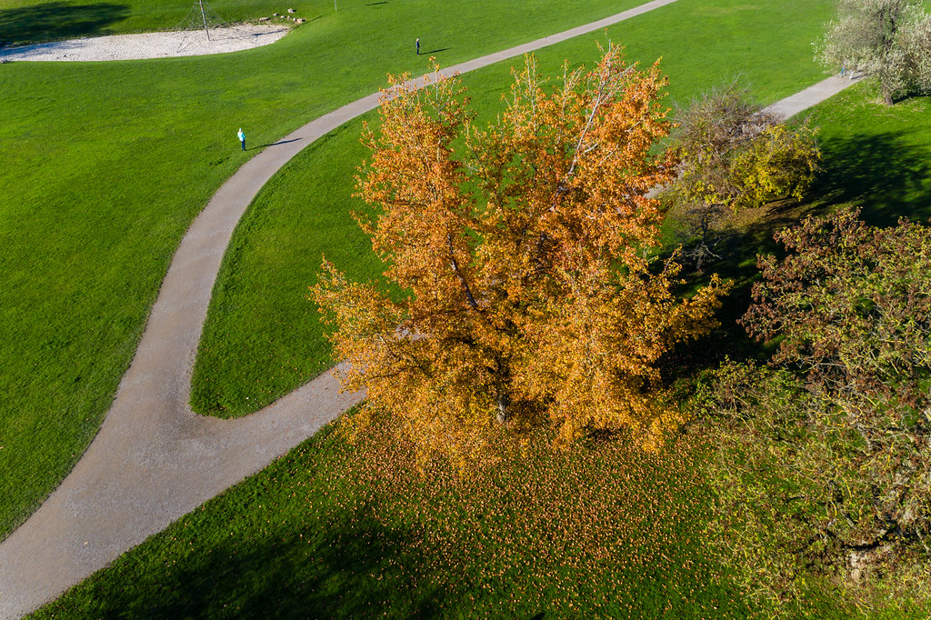Spazierwege und Grünflächen im Forstbotanischen Garten und Friedenswald in Köln, Deutschland aus der Luft fotografiert