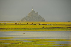 Normandie - Le Mont Saint-Michel - 2020