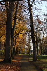 Chemin_d'automne_2
