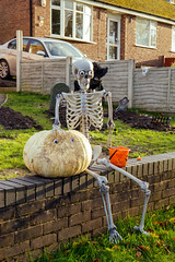 Halloween Scarecrow Hunt - 31/10/20