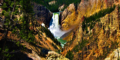Yellowstone National Park, revisited 2020