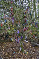 The wishing tree on the West Common