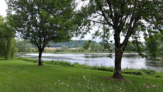 Clamecy et ses environs (Auxerre, La Charité sur Loire et et Vézelay)