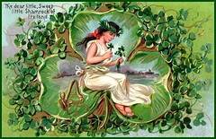 Vintage St. Patrick's Day Postcard Collection