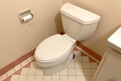Fall 2020 toilet repair, big bathroom